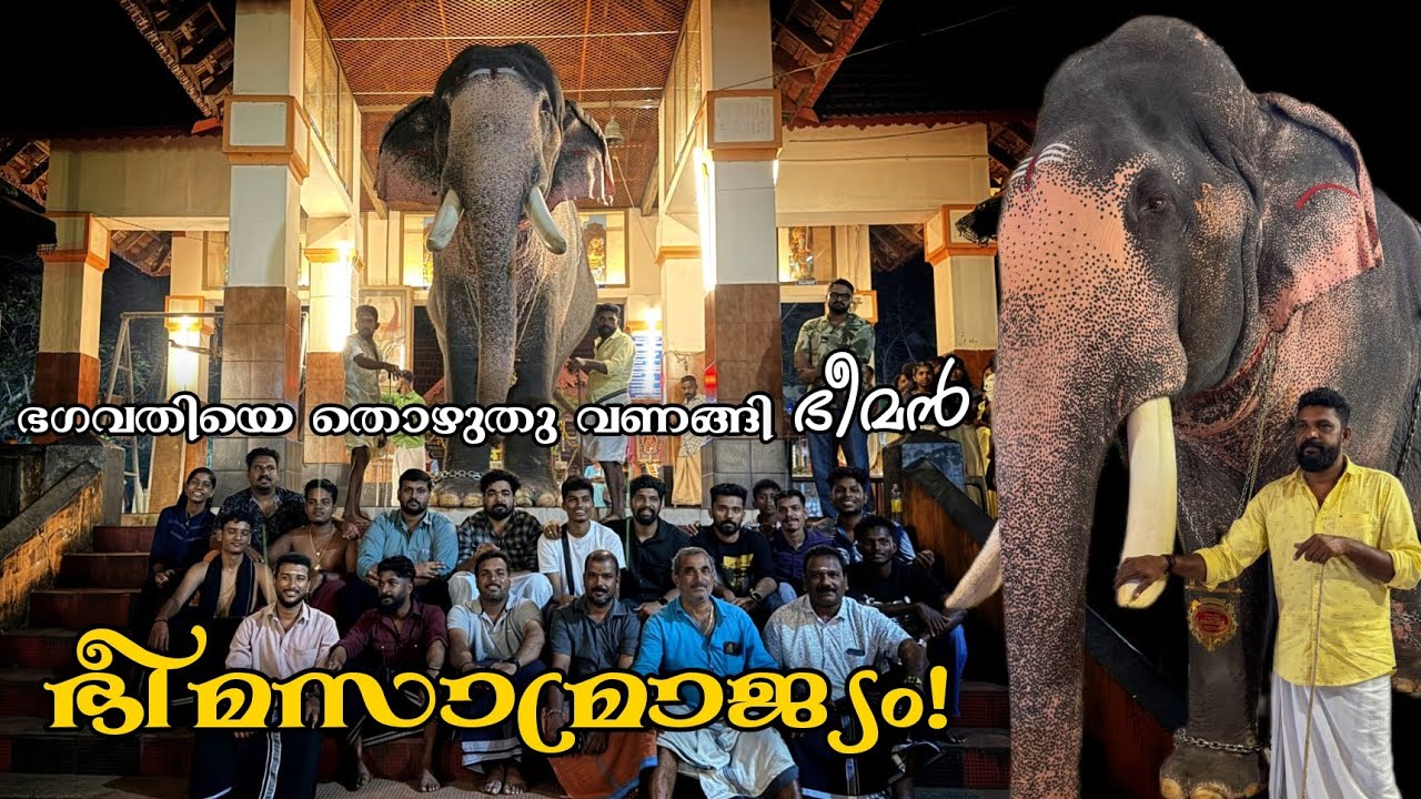 മഠത്തിൽക്കാവിലമ്മയുടെ സന്നിധിയിലെത്തി വീണ്ടും കേശവൻ 🙏🙏🙏