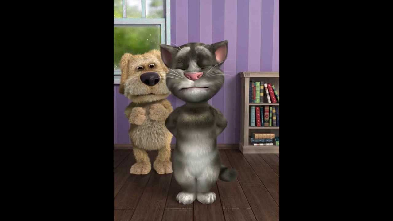 Tom Le Chat parle Rif YouTube