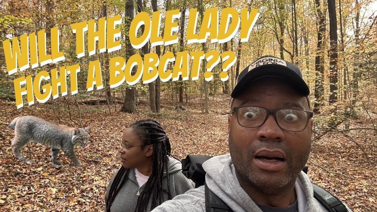 Большой Сержант, СПАСИБО вам за то, что вы остались с нами, Уильямсбург, Старая Леди и Бобкэтс!