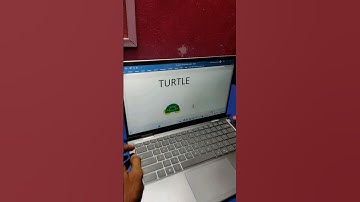 TURTLE Emoji In Ms Word #msword #turtle #youtubeshorts #ytshorts #youtube #tipsandtricks