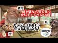 【スカッと猫ミーム】「のろまな孫！」6歳の娘にご飯を炊かせる姑と、それを笑う夫→堪忍袋の緒が切れた私が大反撃「あんたより稼いでたわ！」クズ親子を成敗した結果 #猫ミーム