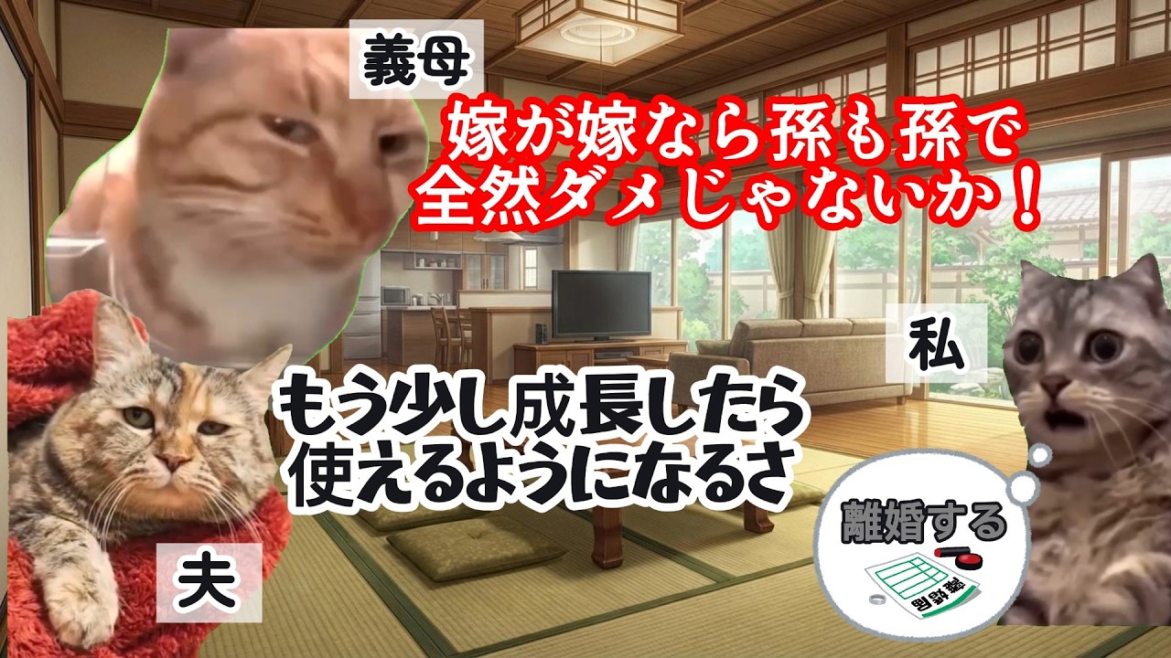 【スカッと猫ミーム】「のろまな孫！」6歳の娘にご飯を炊かせる姑と、それを笑う夫→堪忍袋の緒が切れた私が大反撃「あんたより稼いでたわ！」クズ親子を成敗した結果 #猫ミーム