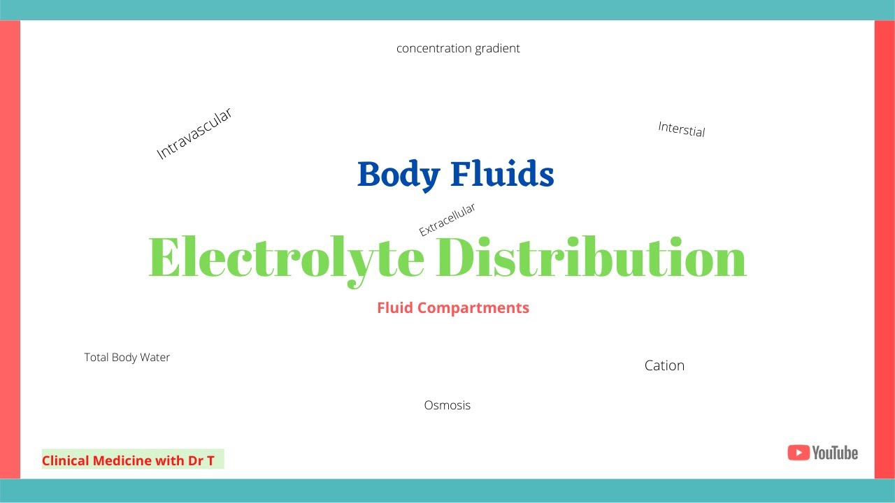 Body Fluids// Fluid Compartments//Electrolyte Distribution//Part 2B