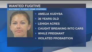 Fugitive Friday: July 5