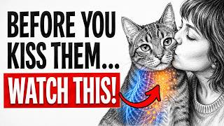 Your Cat Doesn’t Think You’re Kissing Them… Here’s What It REALLY Means