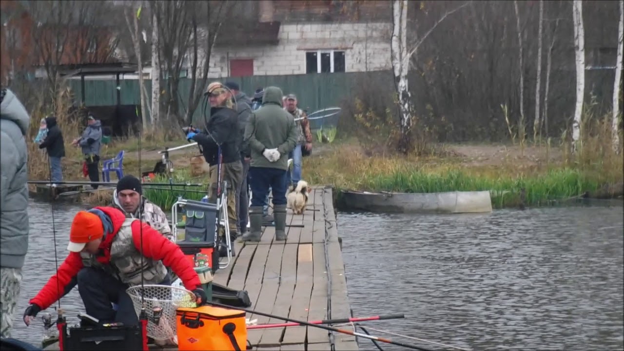 Платная рыбалка - YouTube