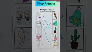 Five Senses #senseorgans #evs #worksheet #shorts