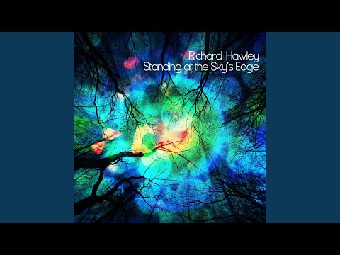 Down In The Woods - Richard Hawley