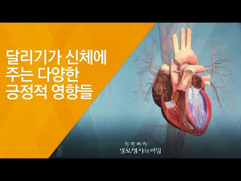 달리기가 신체에 주는 다양한 긍정적 영향들 - (2018.5.23_649회 방송) 런(RUN)! 다시, 달리기