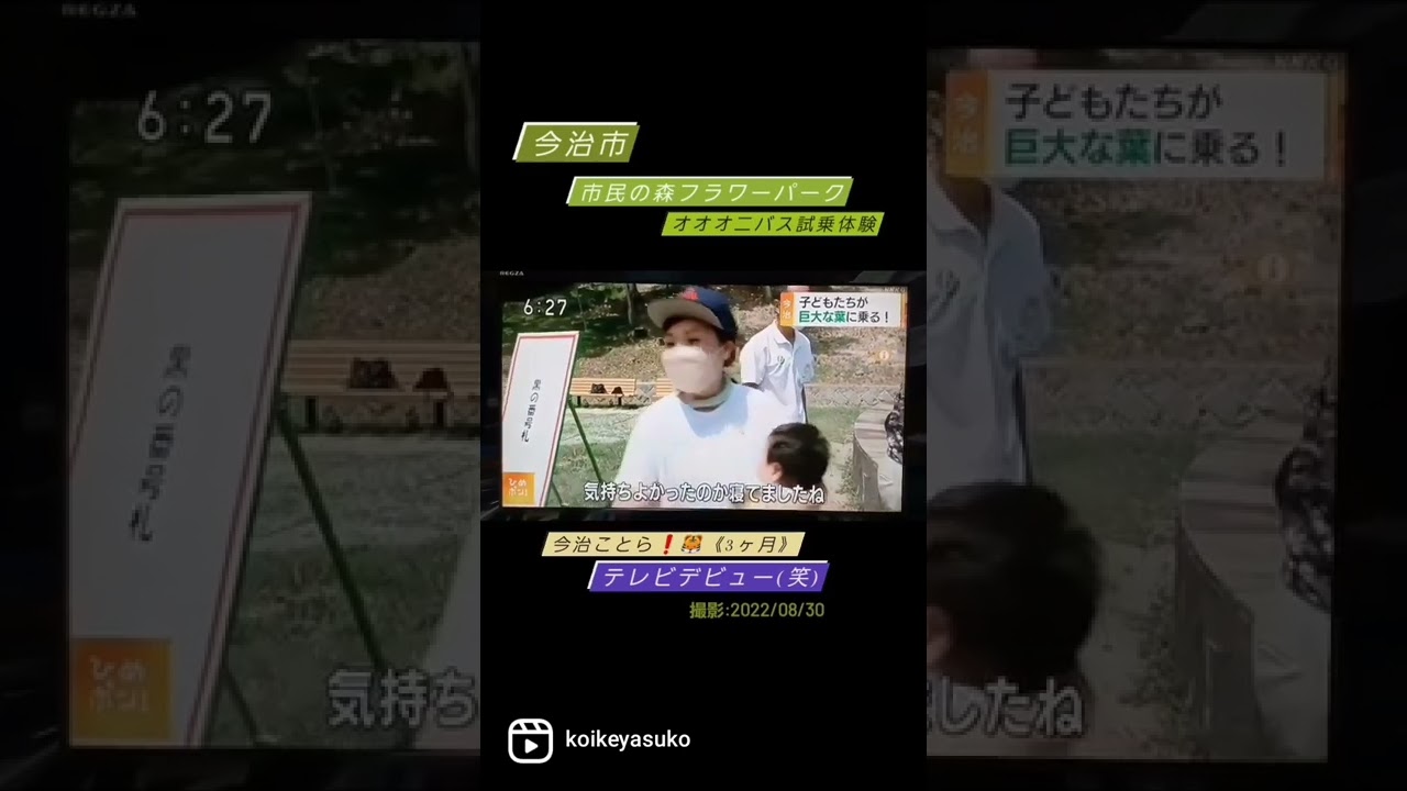 今治市 市民の森フラワーパーク オオオニバス試乗体験 今治ことら 生後3ヶ月 22 08 30 ひめポン テレビデビュー Youtube