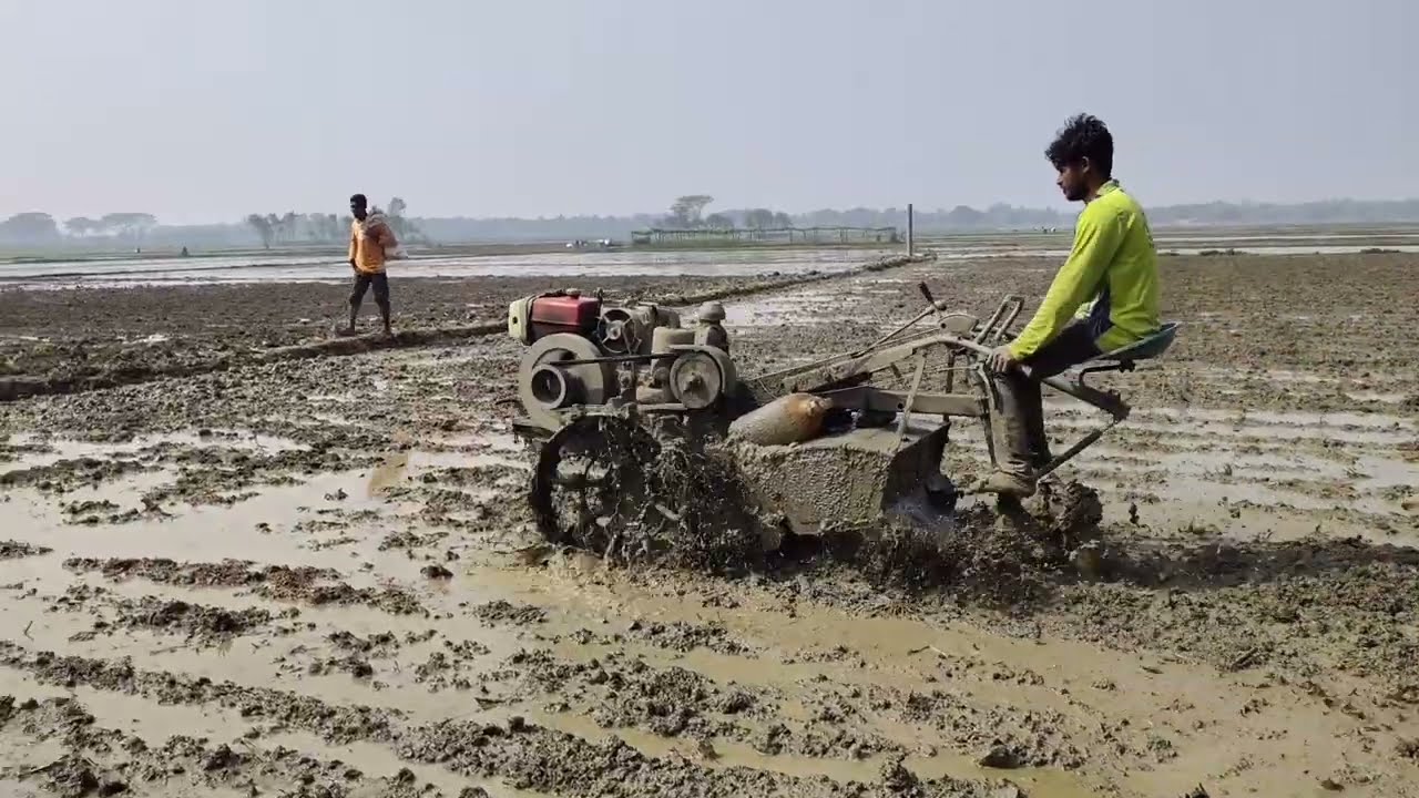 পাওয়ার টিলার দিয়ে জমি চাষের দারুণ কৌশল  Powerful Power Tiller Mud Plowing Video