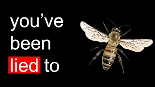 The REAL Reason Bees are disappearing
