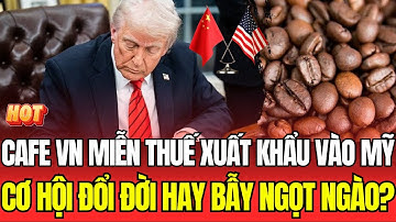 Cà Phê Việt Nam: Miễn Thuế Xuất Khẩu Vào Mỹ - Cơ Hội Đổi Đời Hay Bẫy Ngọt Ngào?| Vấn Đề Cơ Bản
