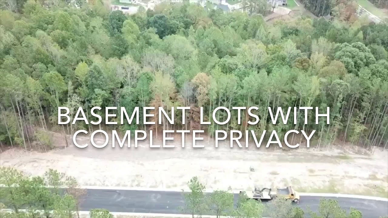 Hampton Pointe From Above