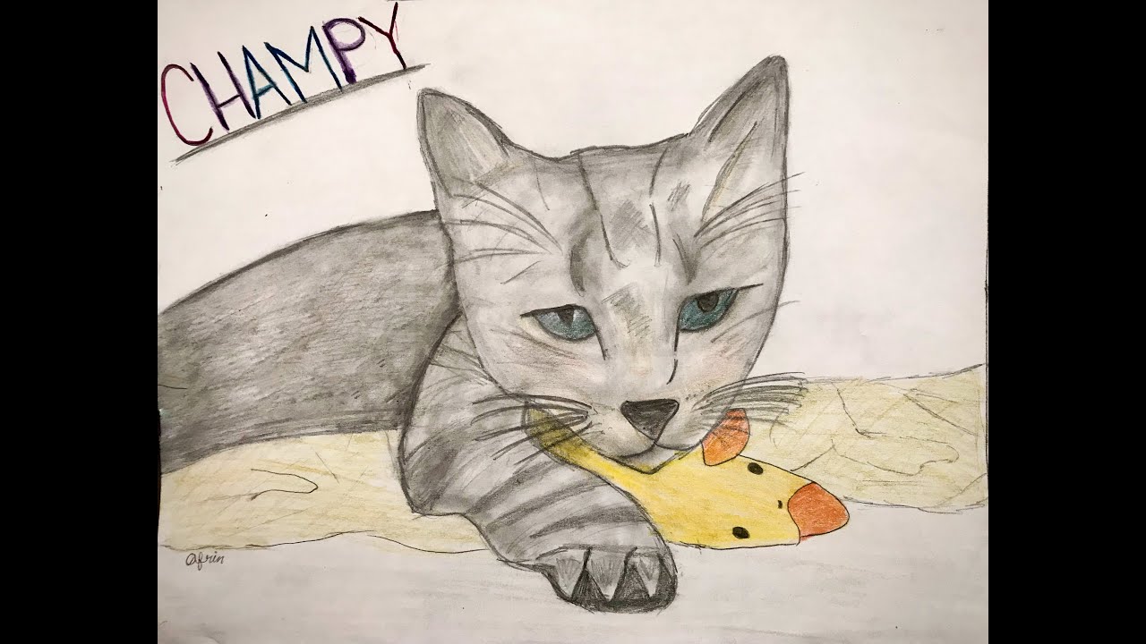 Kindness for Paws 2021