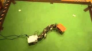 BIOLOIDS snakebot:  real-time feedback control Wealth