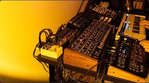 Omnicron // Ambient Session with Prophet 6, Prophet 12, Minitaur, Mono Lancet 