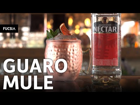 ¿Cómo preparar coctel guaro mule? | Aguardiente Nectar