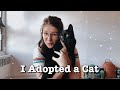 I Adopted a Cat