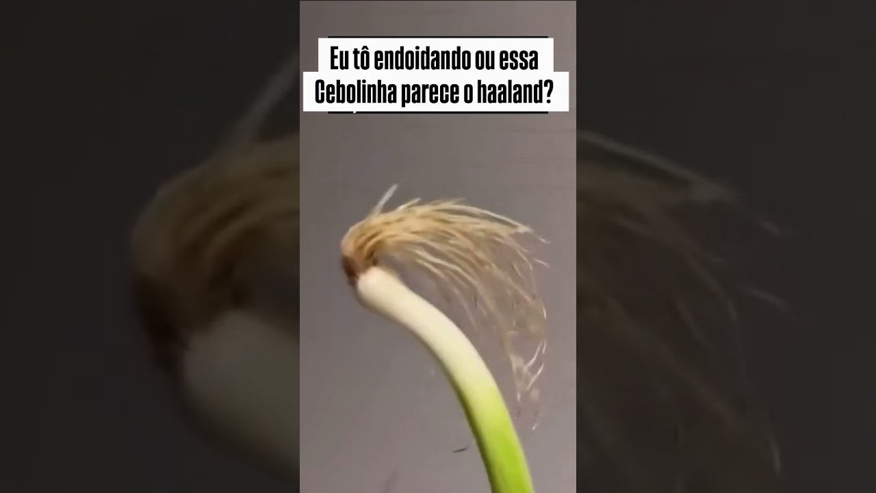Tudo me faz lembrar daquele nojento. Ainda não superei