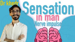 Biology | Nerve impulse | chapter 5 | second term | senior 2 | دكتور مصطفي خضر |2024