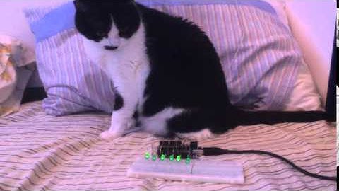 Lucine natalizie con Arduino e Soffisin