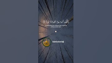 تلاوة خاشعة #عبدالرحمن_مسعد #القرآن_الكريم #المصحف #اكسبلور