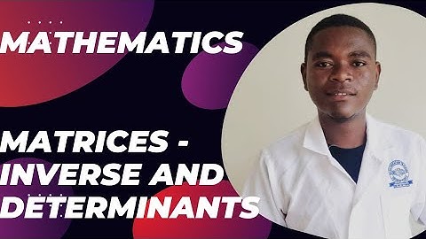 Maths Matrices - Determinant And inverse || Harrison J Zulu Tutor