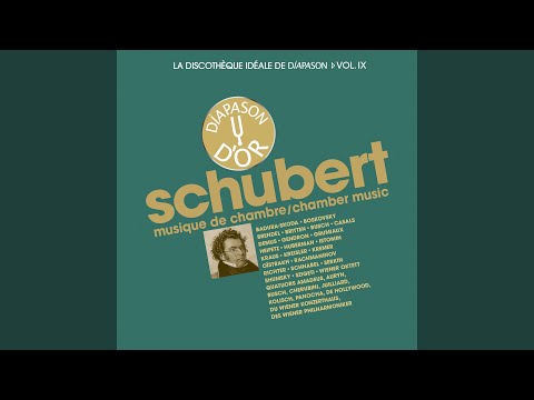YouTube पर String Quintet in C Major, D. 956: III. Scherzo. Presto - Trio. Andante sostenuto (1951 Recording) देखें