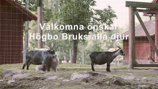 Sigrids Hage - Högbo Bruk