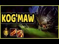 CHALLENGER ADC 10CSPM Gameplay - Kog'Maw vs Smolder | 8/6/7