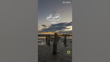 سوره الفيل... اكتب شيء تؤجر عليه ❤️
