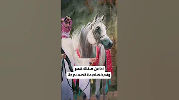 ما هي مواصفات الخيل العربي الأصيل وأين تحدث أبرز مهرجاناته العربية 