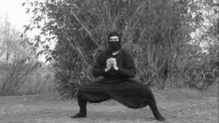 Ninjutsu - stretching exercise #3