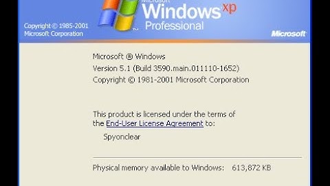 Windows Server Build 3590 rebranded as Windows XP