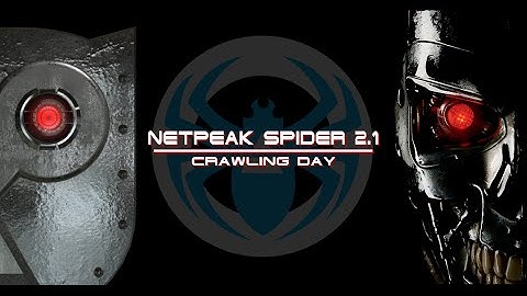 Netpeak Spider 2.1: SEO Terminator vs Internal Website Issues