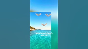 قرآن كريم #اكسبلور #القزابري #قرآن_كريم #دويتو #المصحف #duet #nature #beautiful #راحة_نفسية #تيك_توك