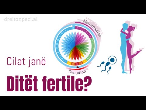 Video: A janë të sigurta midhjet gjatë shtatzënisë?