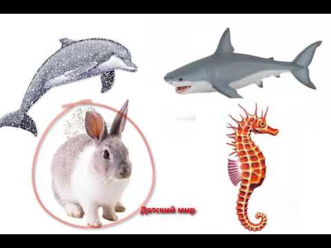 Развиваем логическое мышление у детей. Игра "Найди лишнее слово"