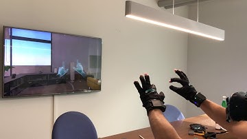 VRfree® - Sign Language Demo 2