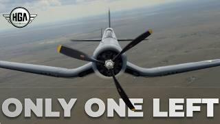 Brewster F3A Corsair | The Only Airworthy Example Takes to the Skies