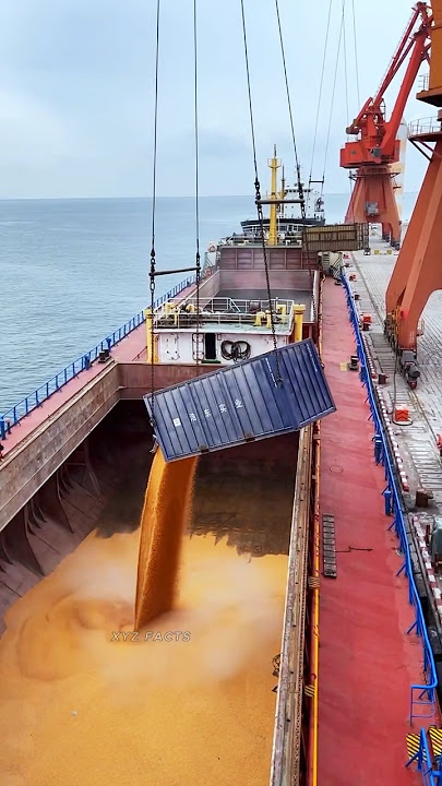 Where Does Thousands of Kilos of Grain Disappear from Ships ?