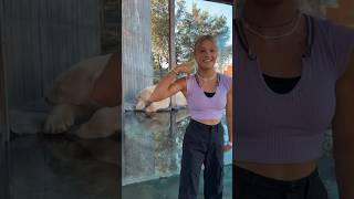 Its A Polar Bearare You Guys Scared Of Bears??