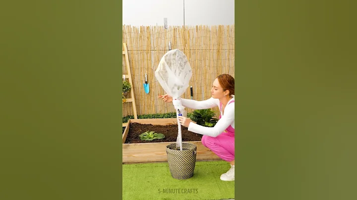 Simple Gardening Tips 🌿💡 thumbnail