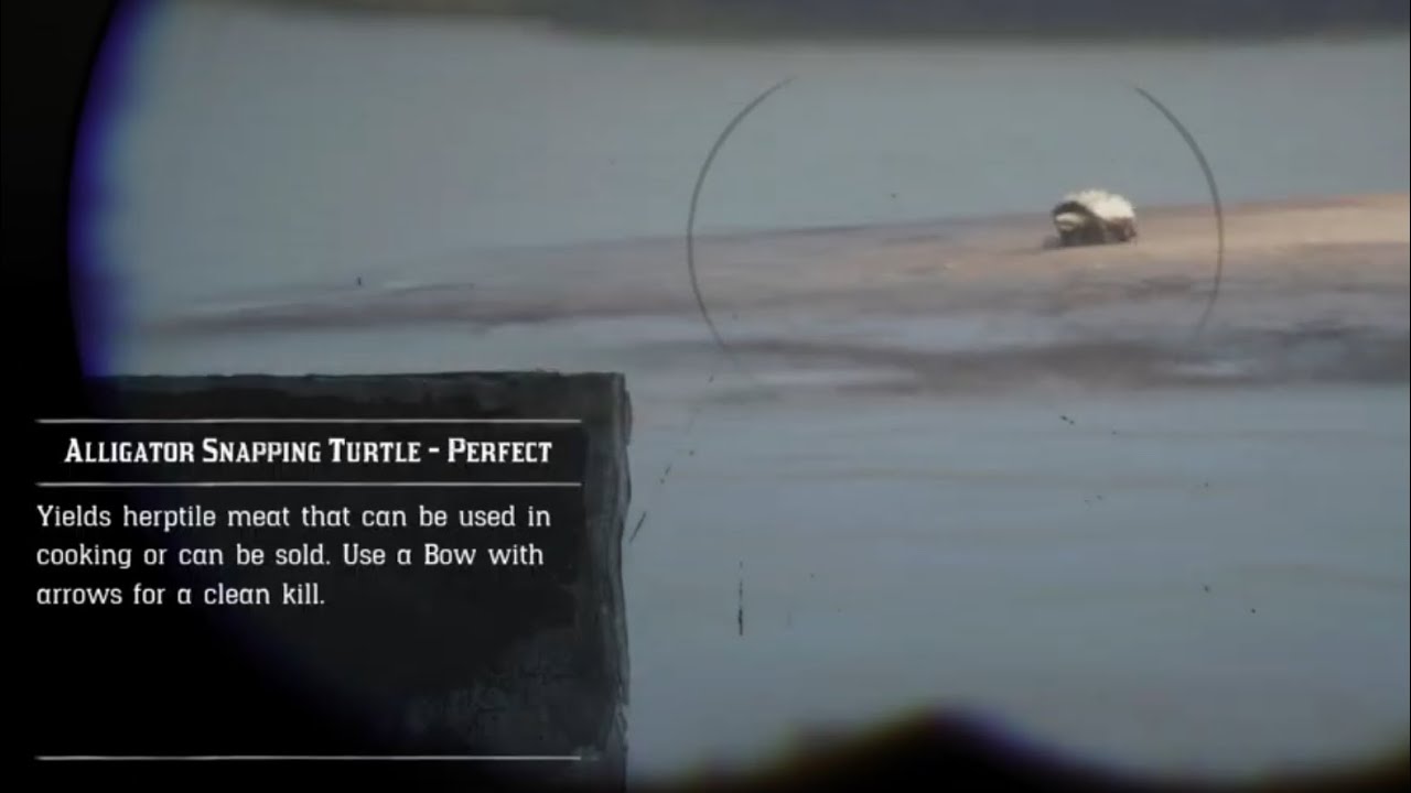 Unusual Alligator Snapping Turtle Location | RDR2