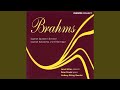 Miniature de la vidéo de la chanson Sonata In E Flat Major For Clarinet And Piano Op. 120 No. 2: Ii. Allegro Appasionato-Sostenuto