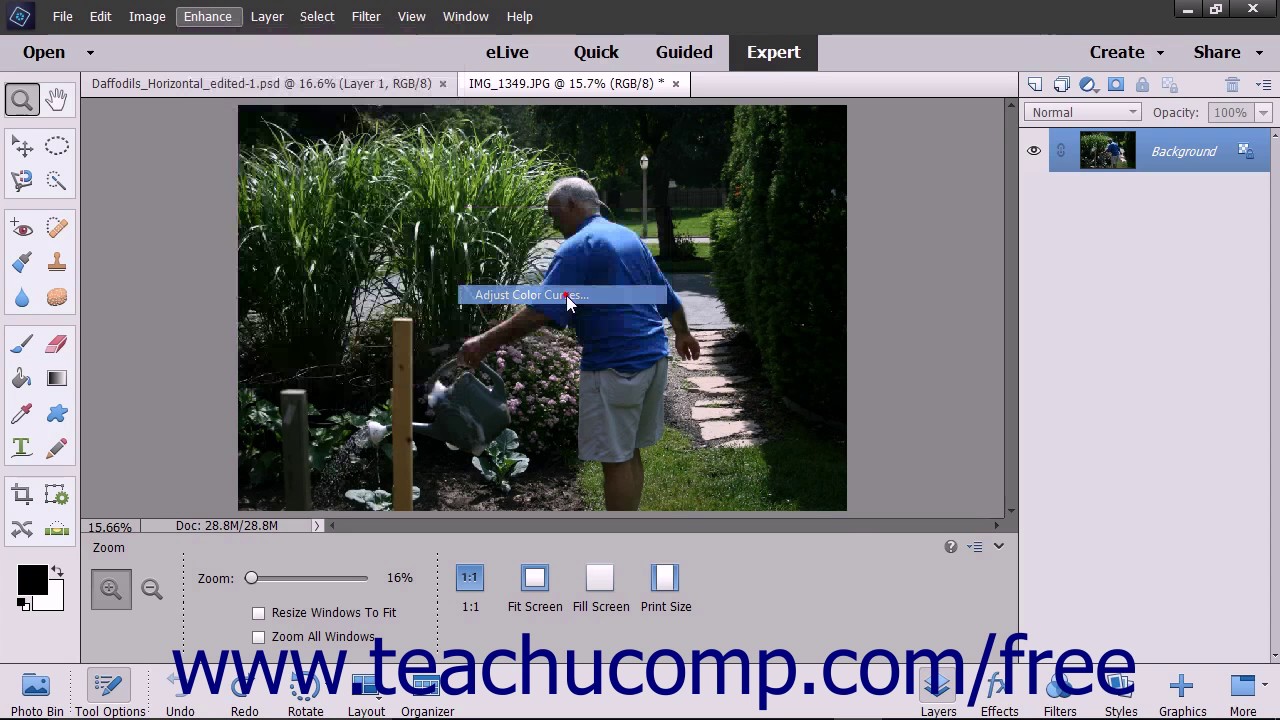 Photoshop Elements 15 Tutorial Color Curves Adobe Training - YouTube