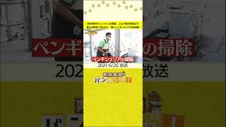 【桝が取材サンシャイン水族館　コロナ禍の影響は？】新人飼育員・見山さん　桝とペンギンエリアのお掃除