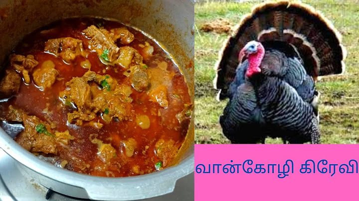 Turkey Gravy | vankoli gravy in tamil | Turkey gravy recipe in Tamil | vaan kozhi kulambu