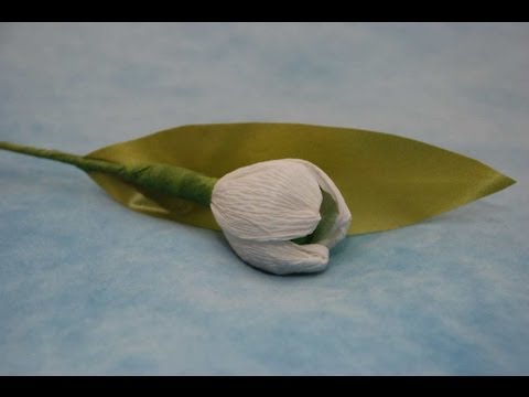 Video: Jak Vyrobit Tulipán Pro Kytici Cukrovinek